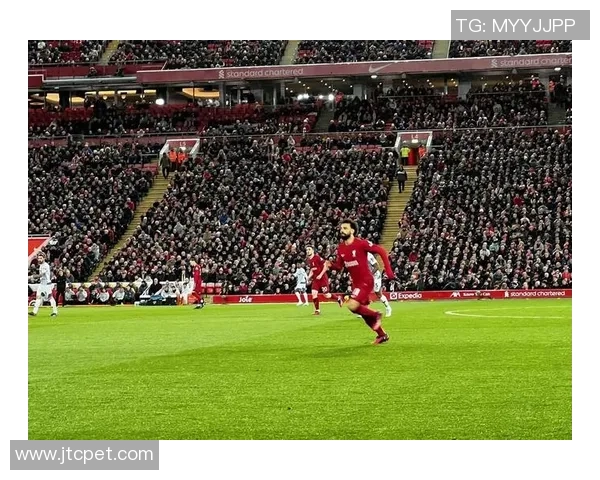 竖领子足球球星的独特魅力与球场风采探秘