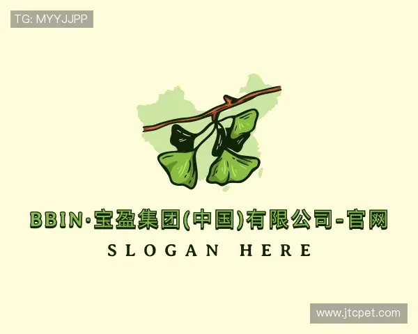 解读bbin宝盈集团官网